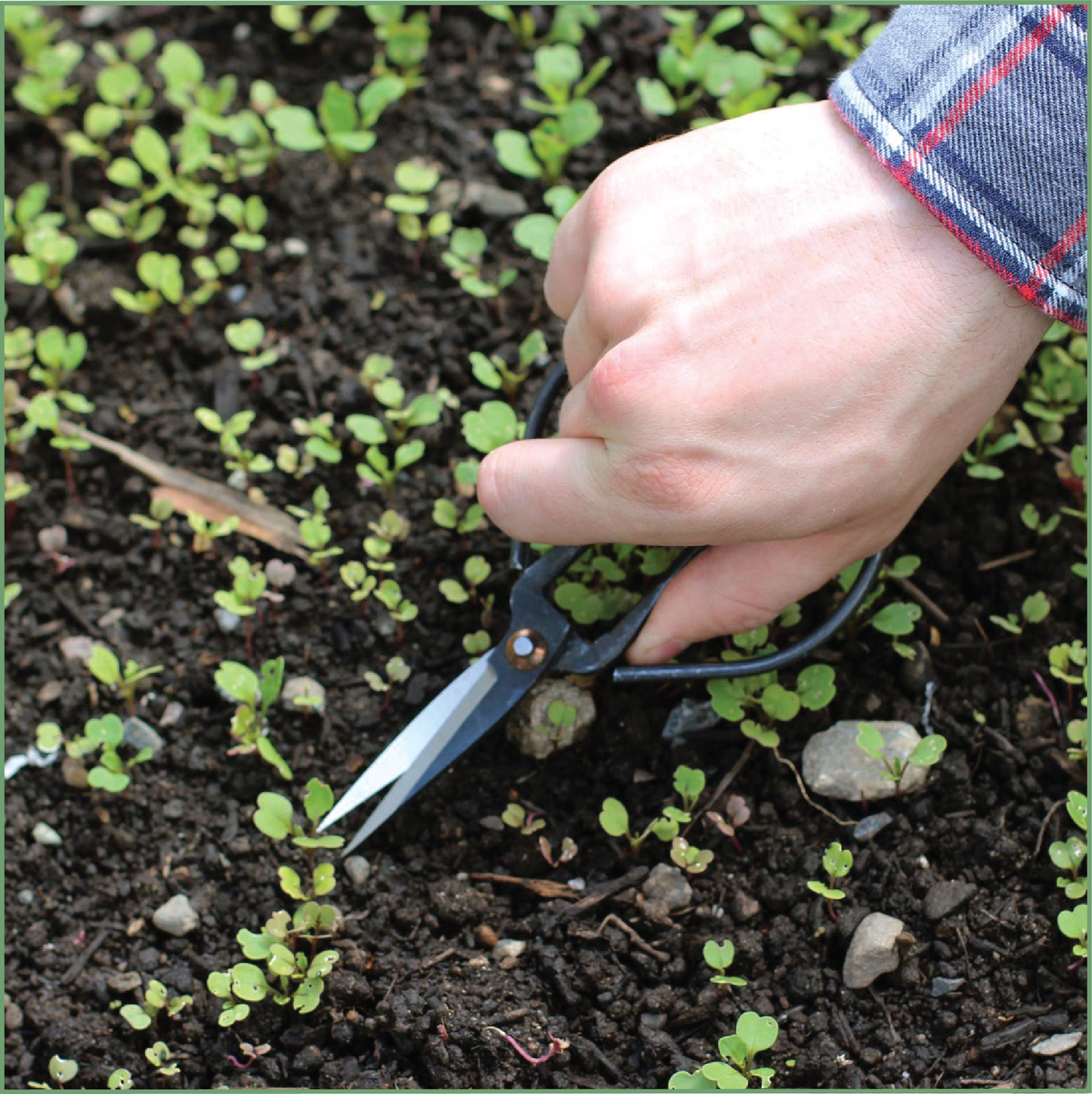 Forged Steel Pruning Shears